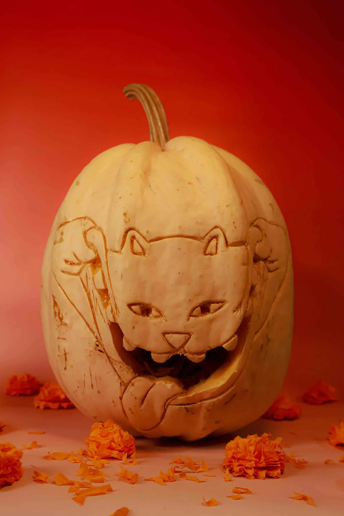 Pale cream pumpkin carved in relief with a cartoon cat face, open grinning mouth and paws, among orange marigolds