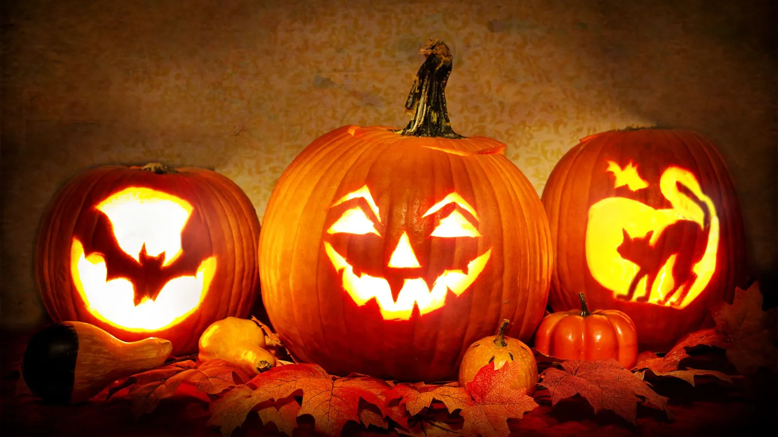 Three glowing jack-o'-lanterns, a triangle-eyed grin flanked by bat and black-cat silhouettes, among autumn leaves and gourds
