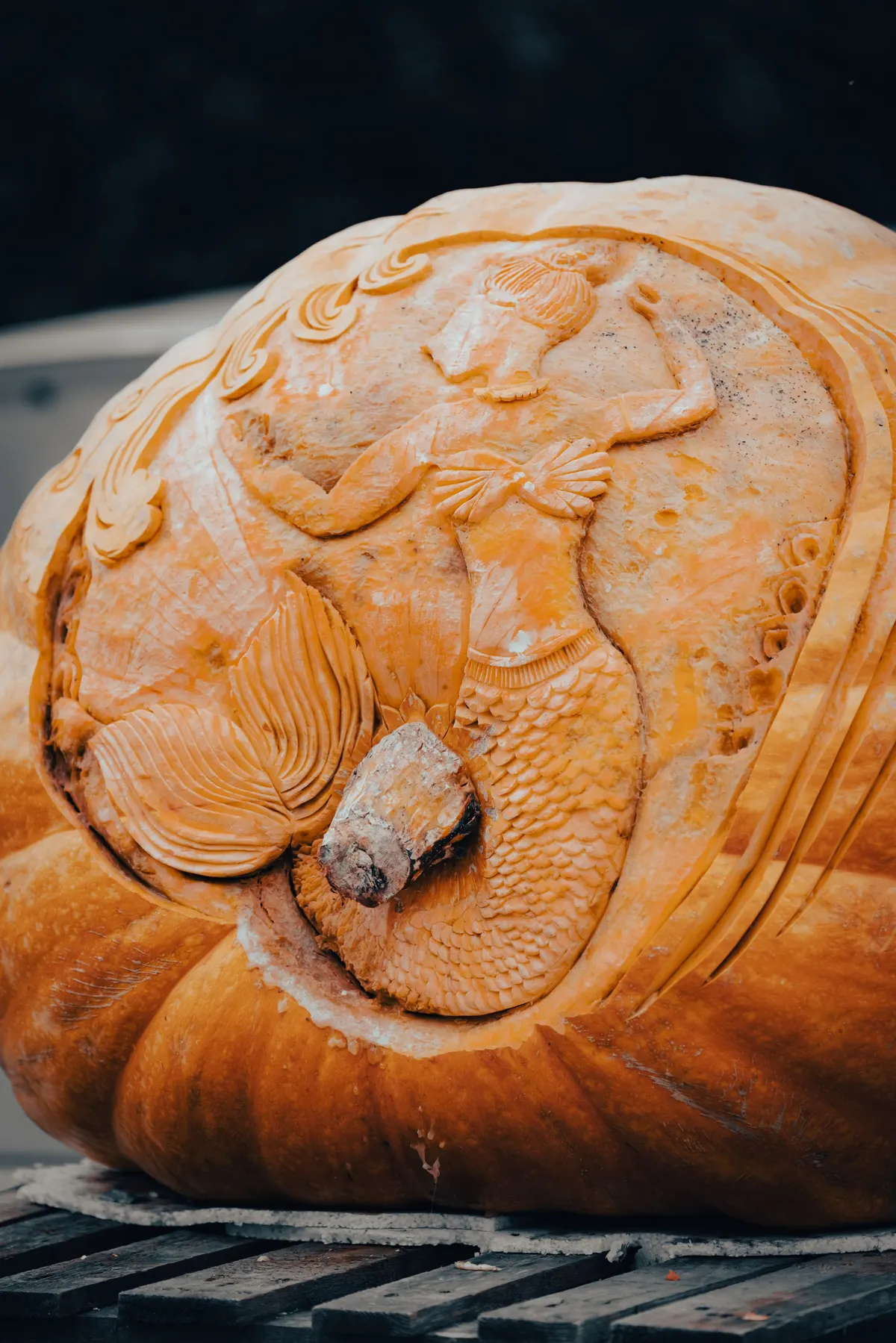 Giant pumpkin sculpted in shallow relief with a mermaid among carved swirls