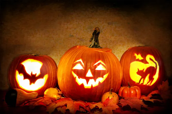 Three glowing jack-o'-lanterns, a triangle-eyed grin flanked by bat and black-cat silhouettes, among autumn leaves and gourds