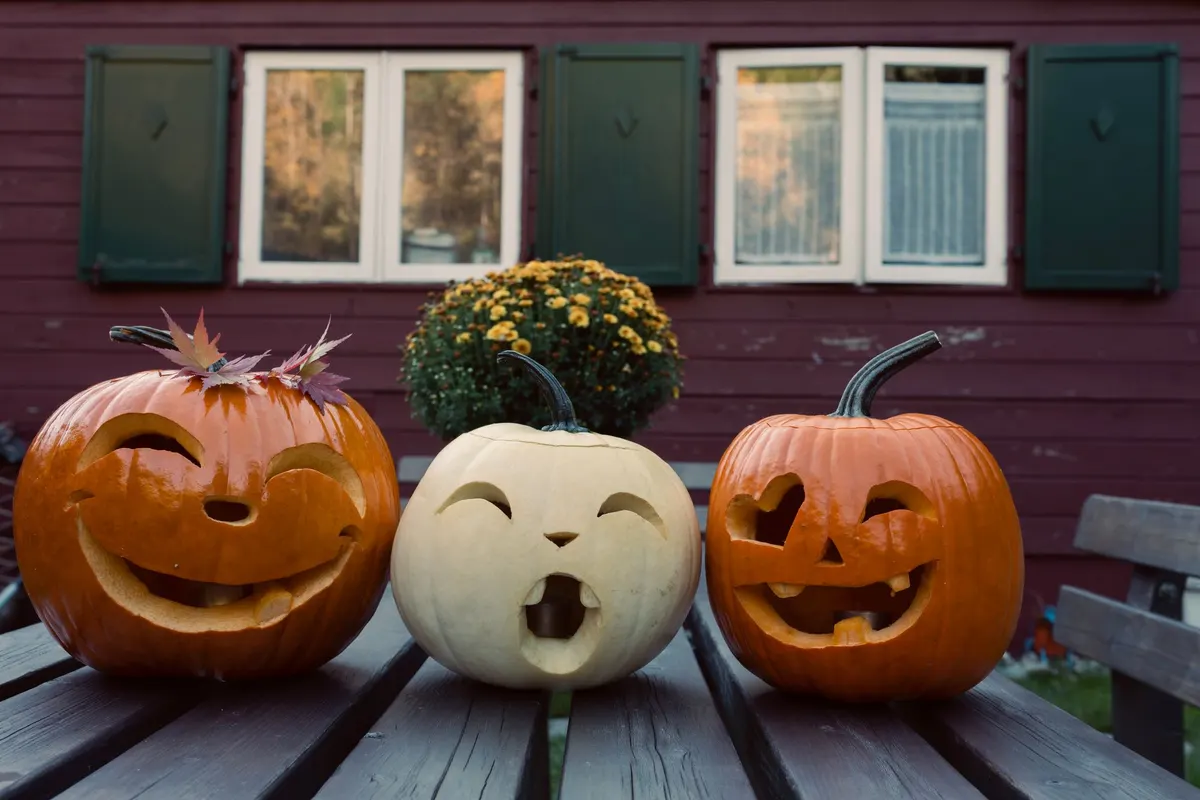 Three carved pumpkins on a weathered bench, including a white pumpkin with crescent eyes and a small round mouth
