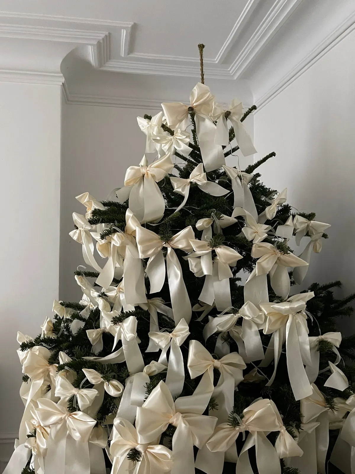 Tall green tree reaching near the ceiling, covered in ivory satin bows with long trailing tails