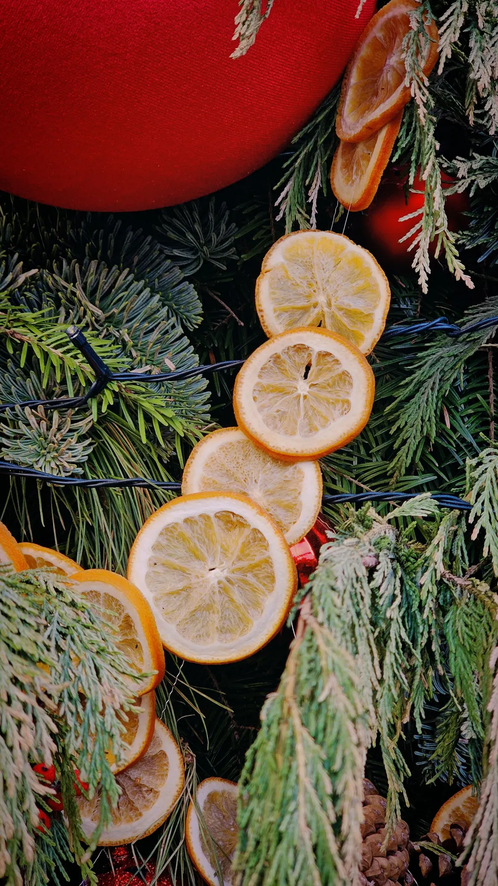 Dried orange slice garland on green branches with red balls and brown pinecones