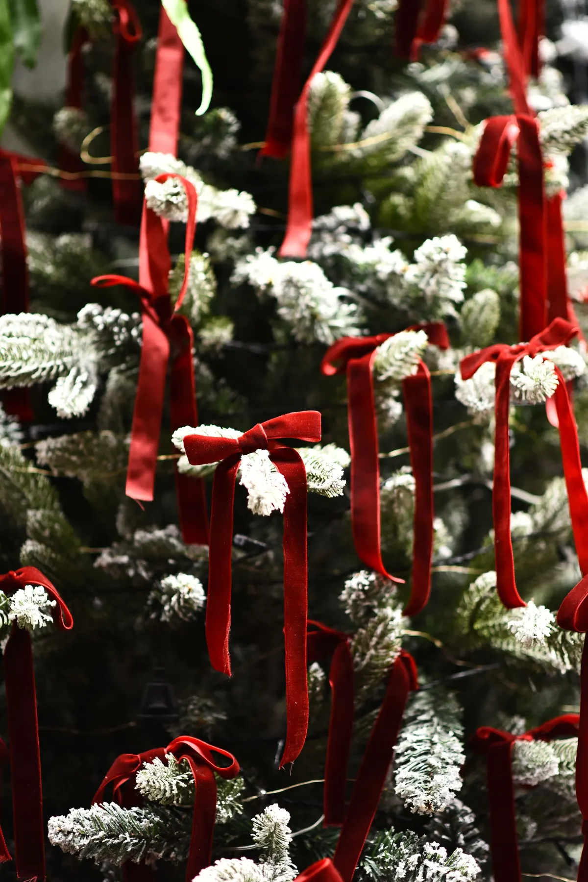 White-flocked green branches hung with deep red velvet bows with long tails and nothing else