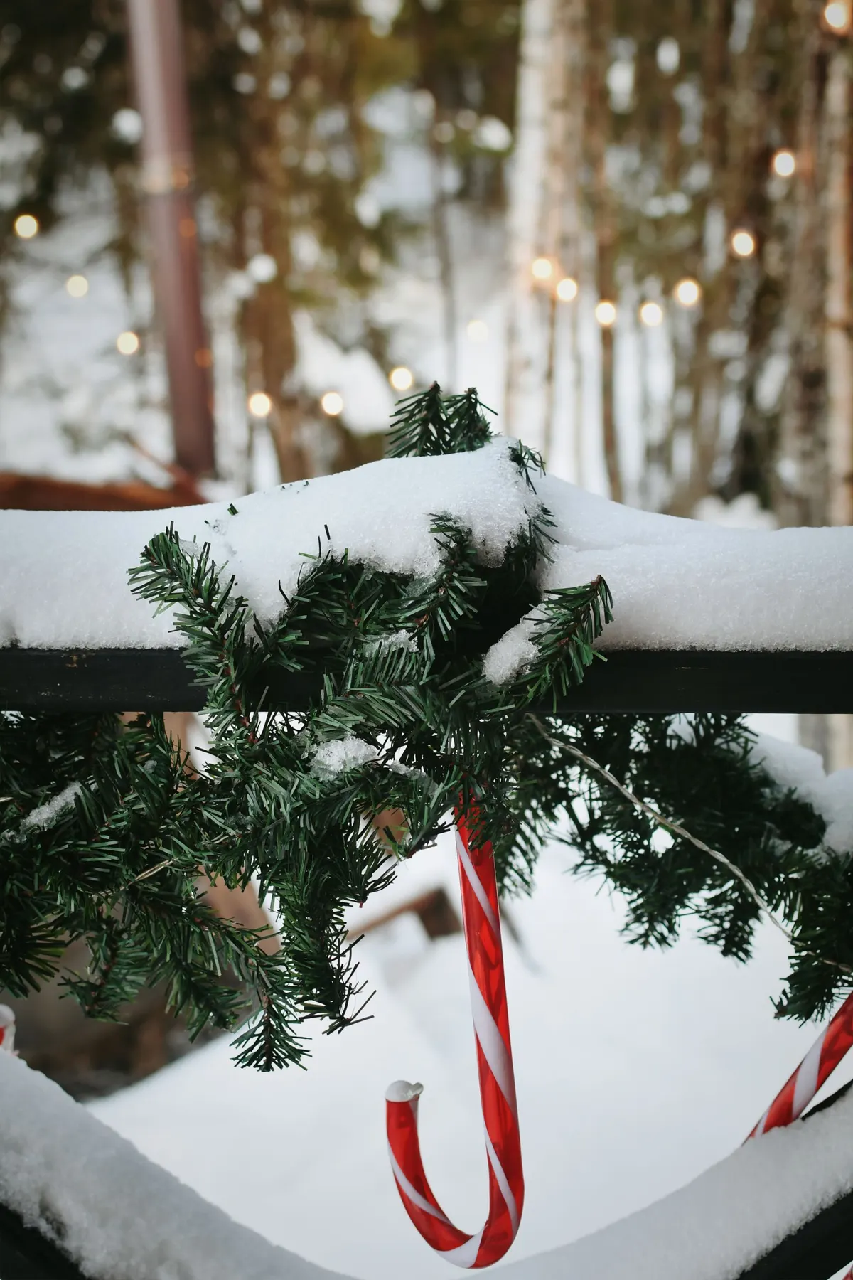 Dark wooden railing dusted with snow, topped with green evergreen branches and two red and white candy canes