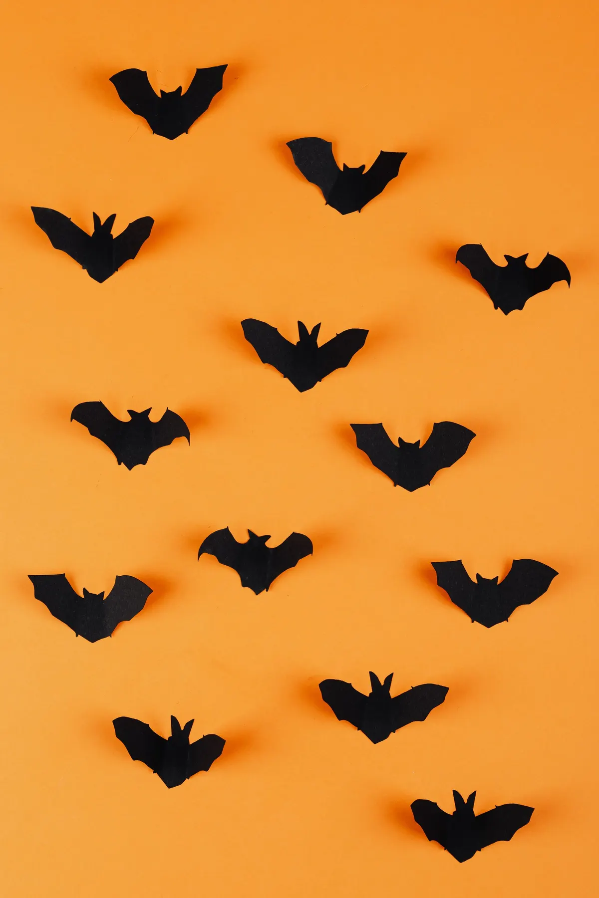 Thirteen black paper bats folded down the middle with lifted wings, staggered across a plain orange wall