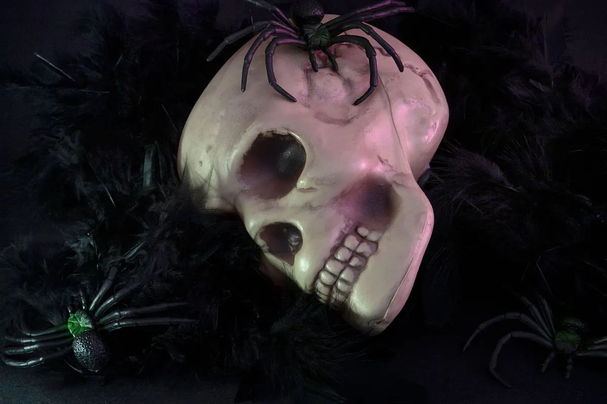 Cream plastic skull nestled in a black feather boa with three black plastic spiders crawling over it