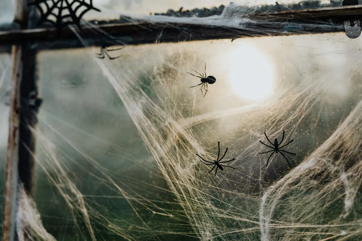 Weathered window frame with white stretch cobweb across the glass and several black plastic spiders