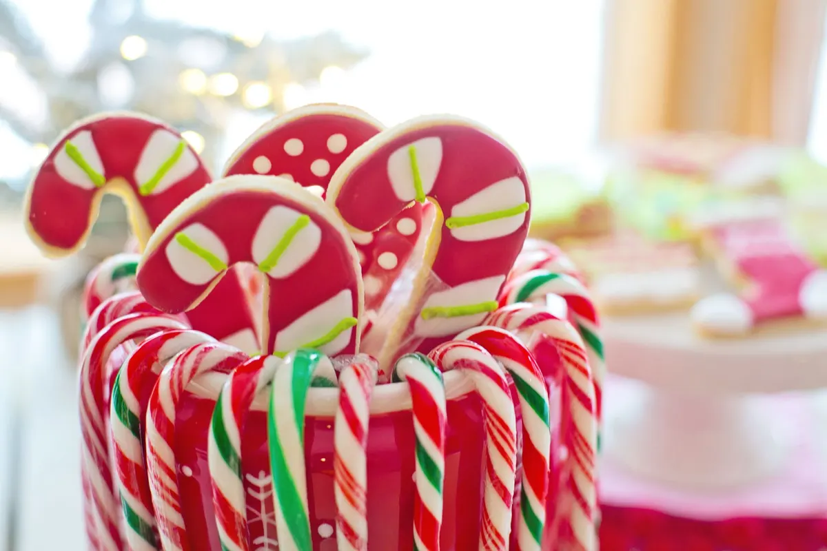 Red and white candy canes hooked around a red mug holding four iced candy cane cookies