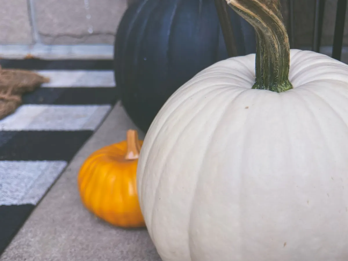 Close-up of white, black and orange pumpkins grouped on a checkered mat