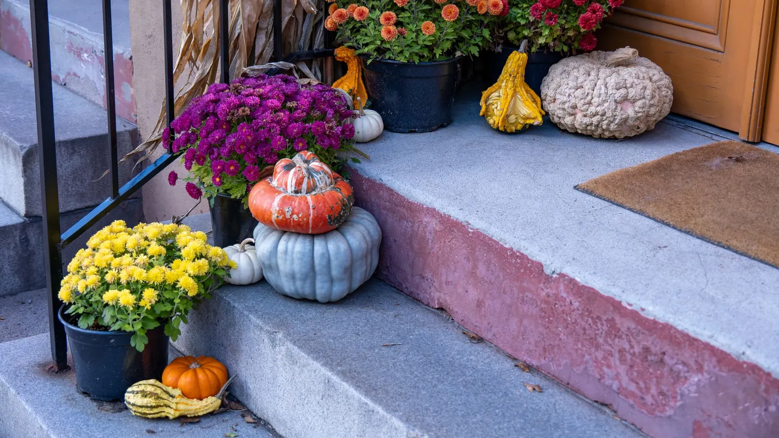 Concrete porch steps with potted mums, stacked pumpkins, gourds and corn stalks beside a plain brown doormat
