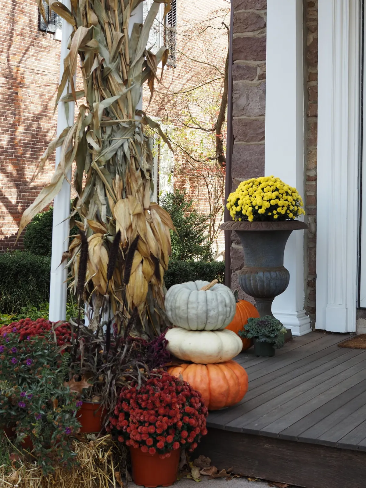 Bundled corn stalks flanking stacked pale and orange pumpkins, red mums and an urn of yellow mums on a porch