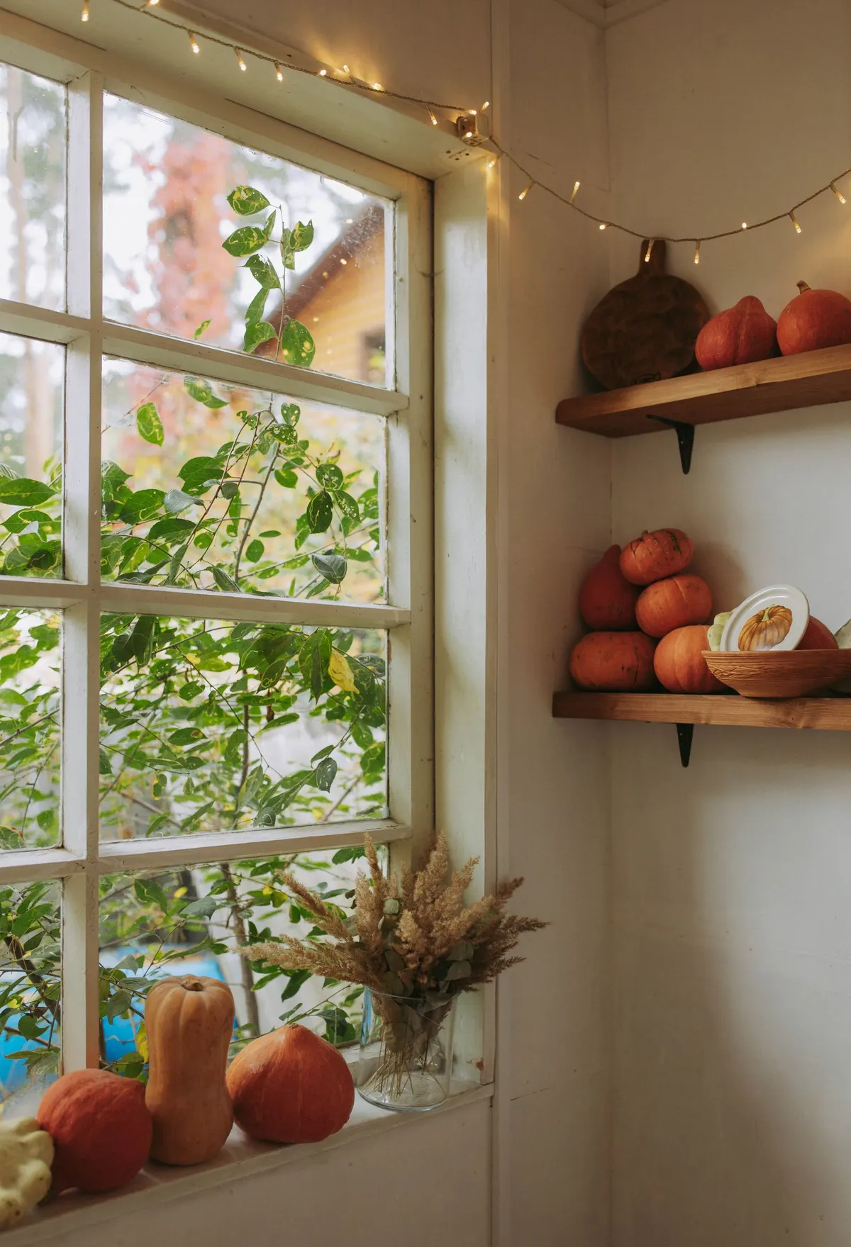 Two wooden shelves of orange squash and pale gourds beside a window with a wooden bowl