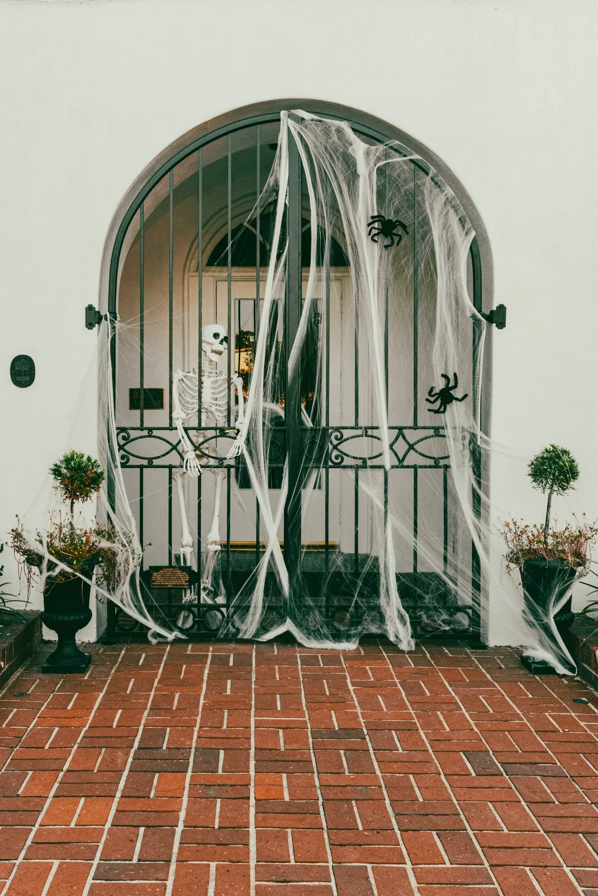 Arched black iron gate draped in white cobweb with two black spiders, a skeleton behind the bars and two urns