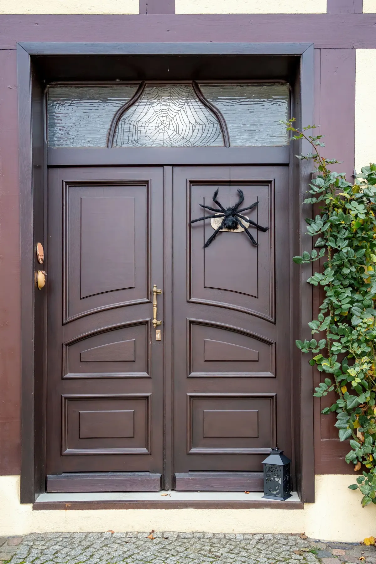 Dark brown double door with a cobweb-pattern transom, one big furry black spider on the right leaf, small lantern