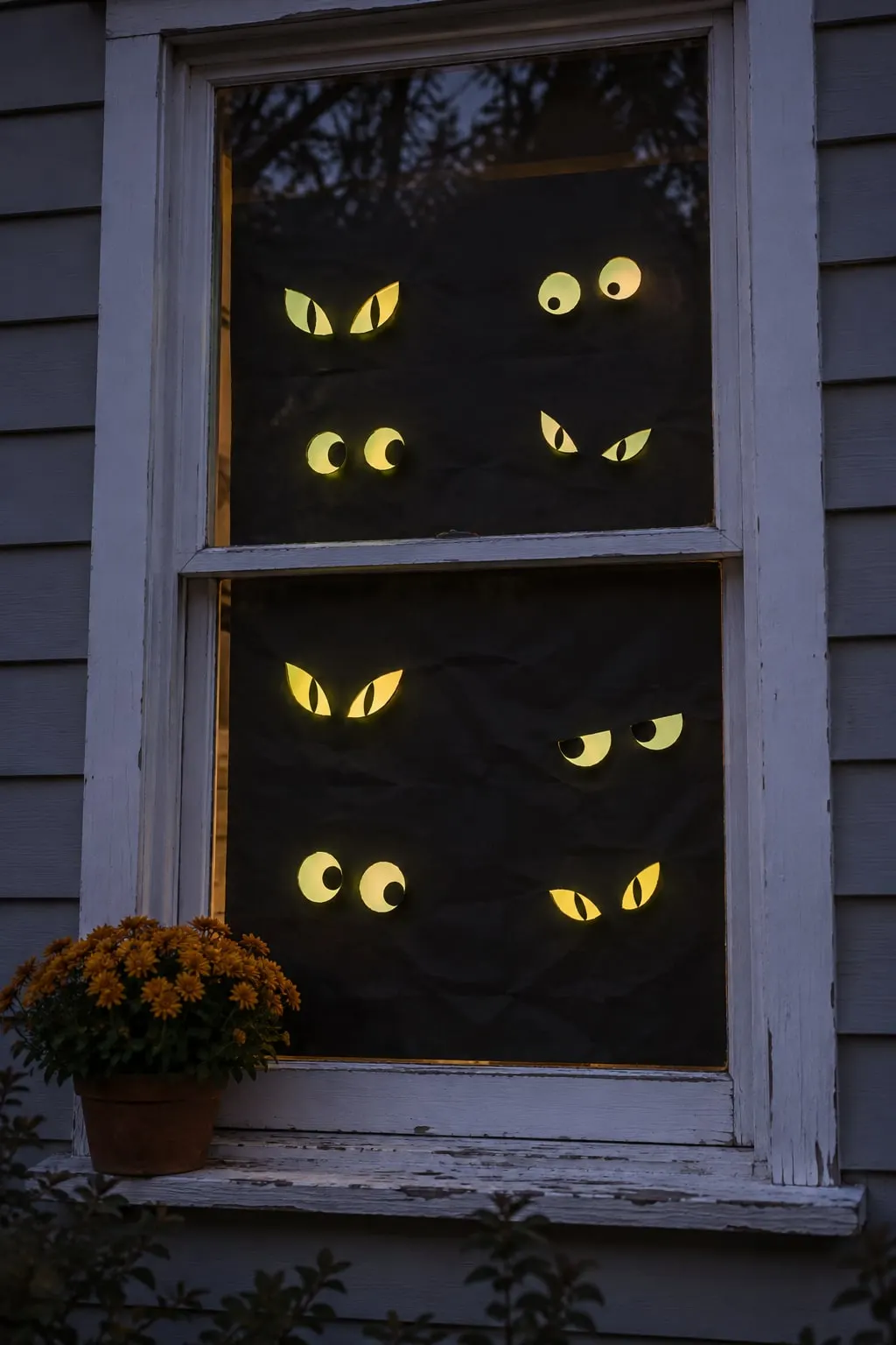 White sash window backed with black fabric showing sixteen glowing yellow eyes in eight pairs