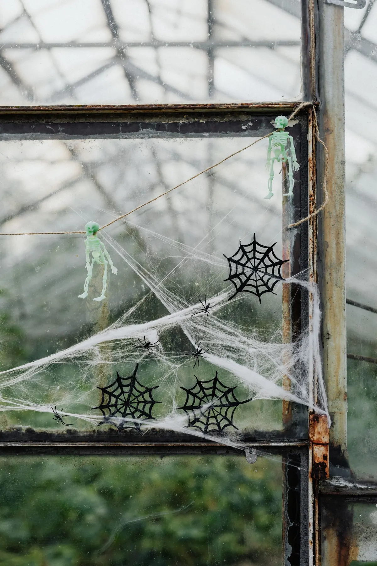 Rusty metal-framed window with two pale green plastic skeletons on twine, white cobweb and four black spiders