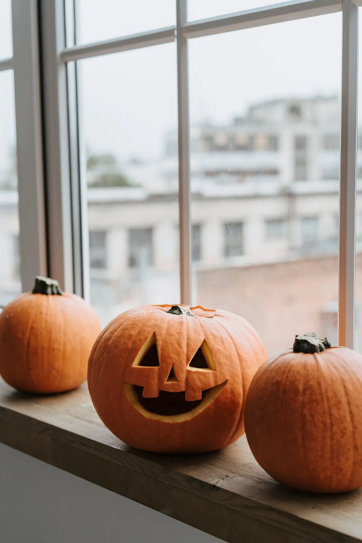Three orange pumpkins on a brown windowsill, the middle one a jack-o-lantern, in front of a white window