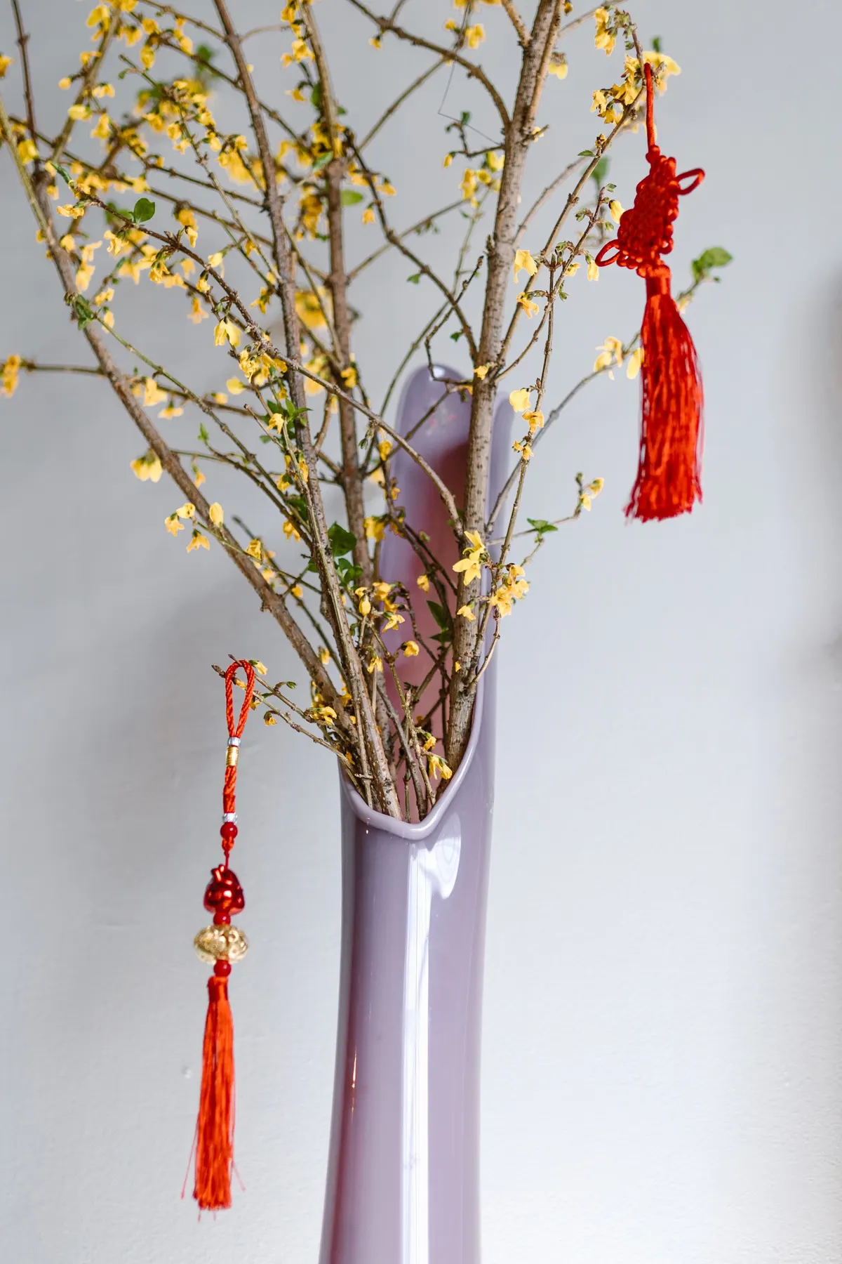 Tall pale purple vase of yellow-flowering branches with two red tasseled ornaments hanging from them