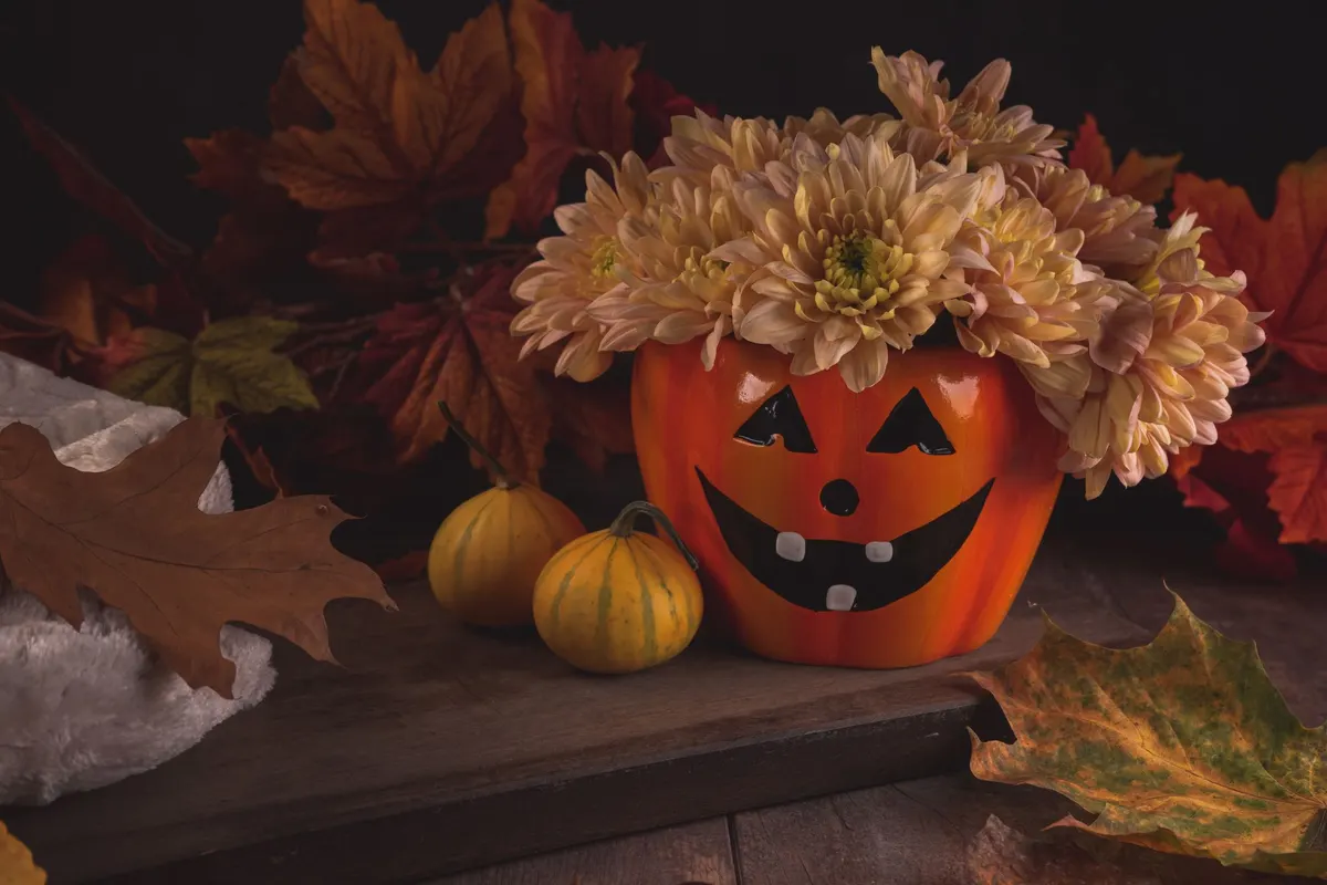 Glossy orange ceramic jack-o'-lantern pot holding peach mums beside two striped mini pumpkins and maple leaves