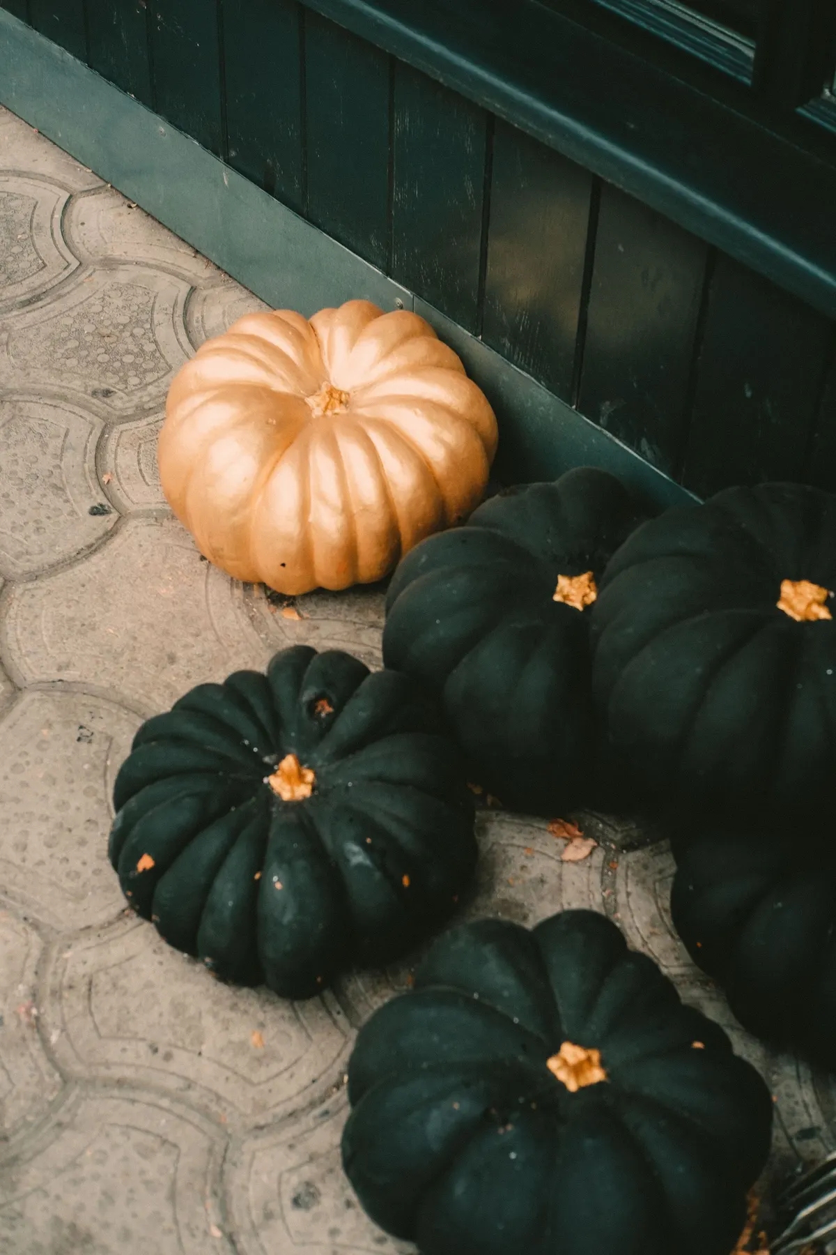 Five near-black green ribbed pumpkins and one pale tan pumpkin on gray pavers by a dark green wall