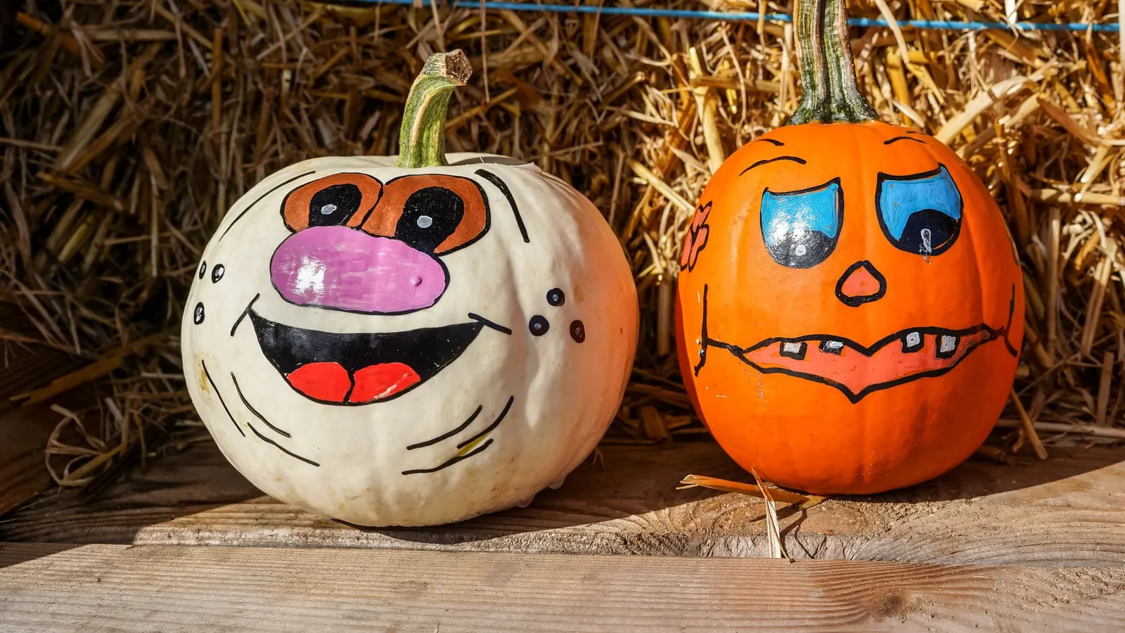 White and orange pumpkins with hand-painted cartoon faces, one with a pink nose, in front of hay bales