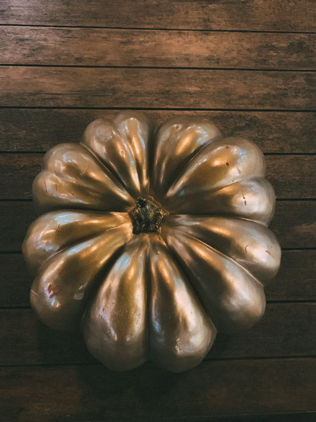 Flat ribbed pumpkin spray-painted shiny bronze-gold, seen from above on dark wood planks