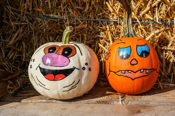 White and orange pumpkins with hand-painted cartoon faces, one with a pink nose, in front of hay bales