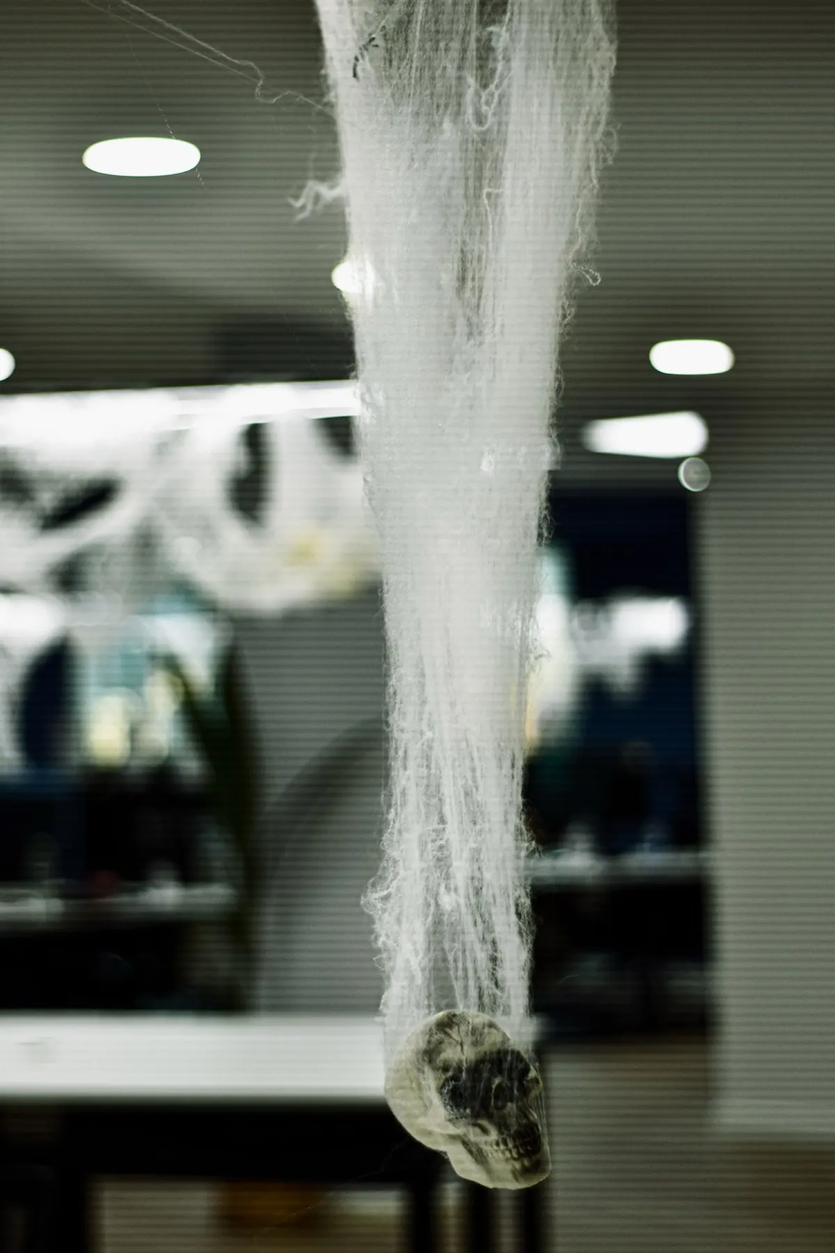 White stretch cobweb hanging from an office ceiling with a small gray plastic skull caught at the end