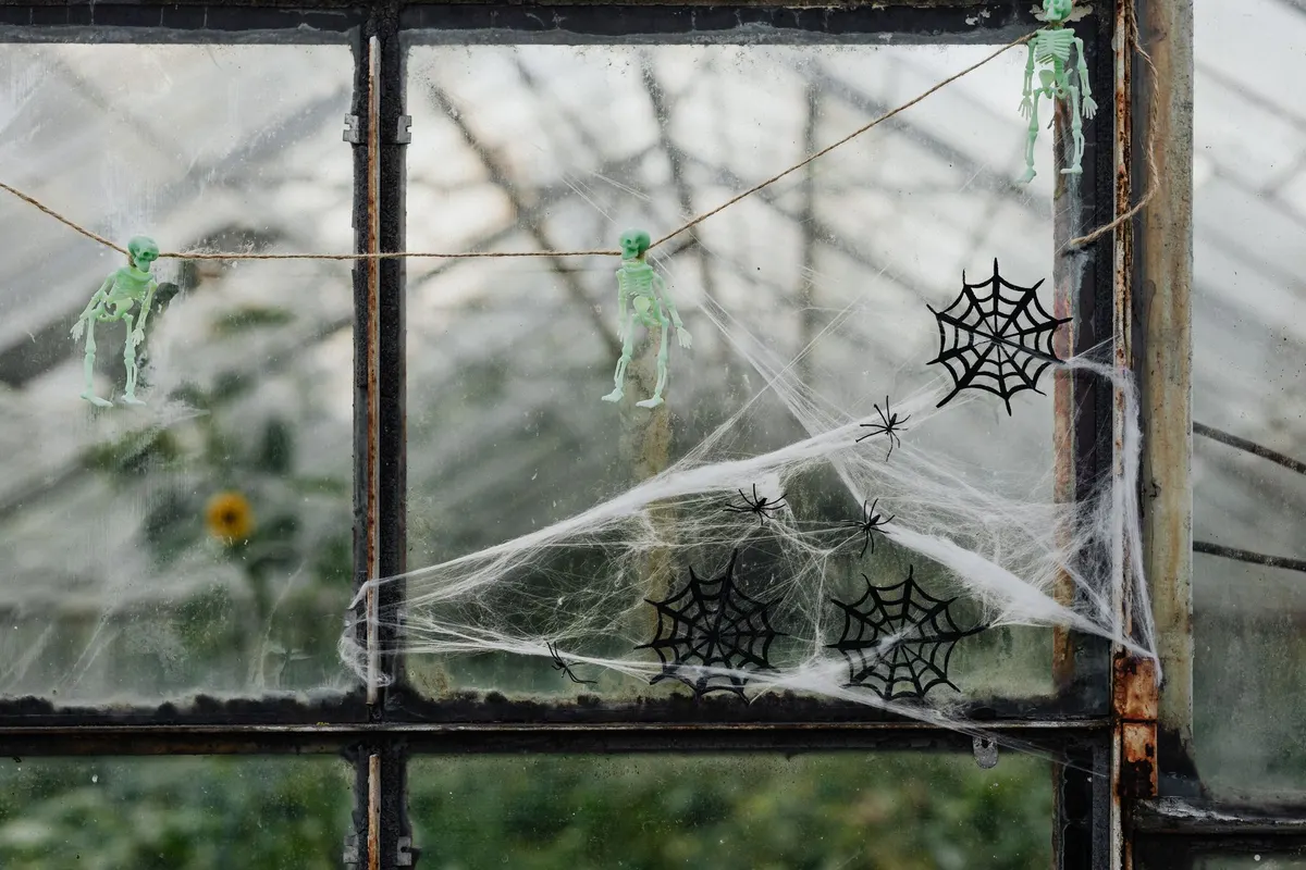 Three pale green toy skeletons hanging from a twine line across a window