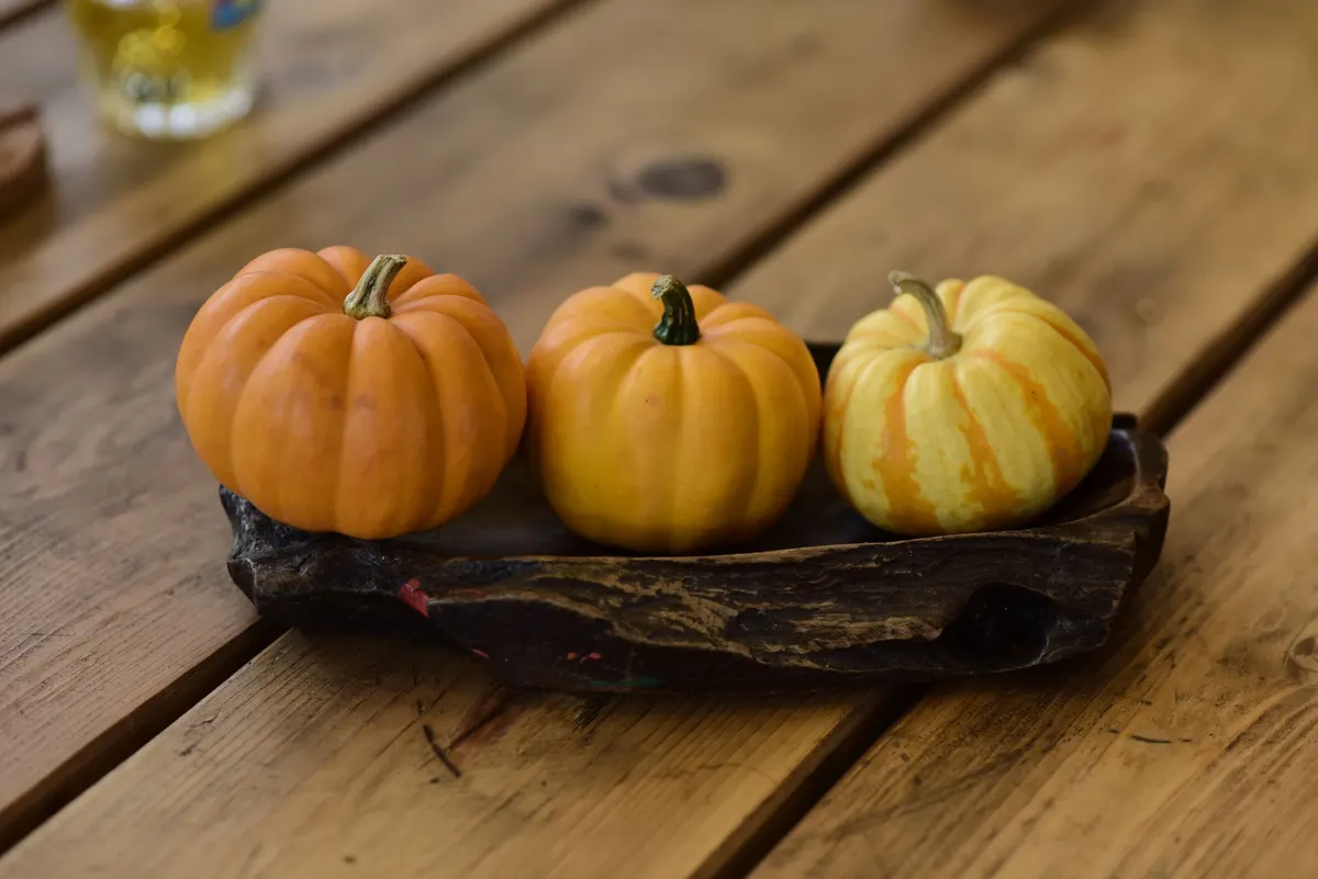Three small pumpkins in deep orange, yellow-orange and striped, sitting in a dark rough wooden tray on a plank table
