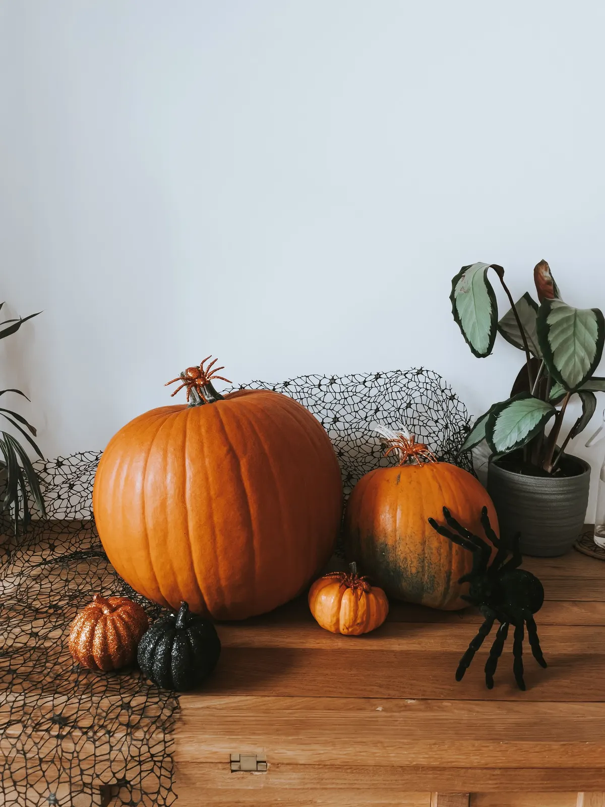 Large and small pumpkins in orange, green and black on a black web-pattern runner