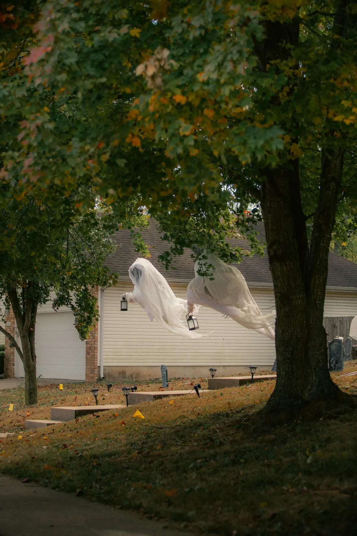 Two white gauzy ghosts hanging from yard trees on an autumn day, a small dark lantern beneath the left one