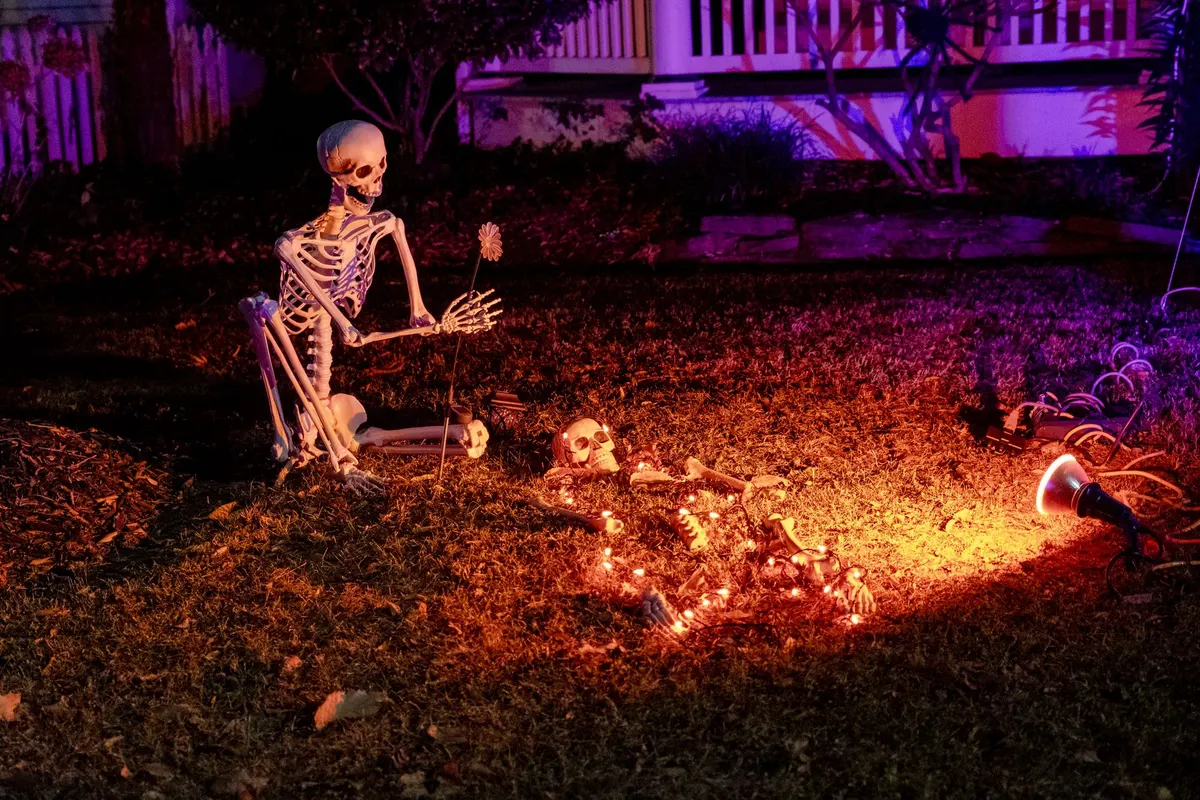 Ivory skeleton seated on a front lawn at night with a skull, bones, orange string lights and a purple spotlight