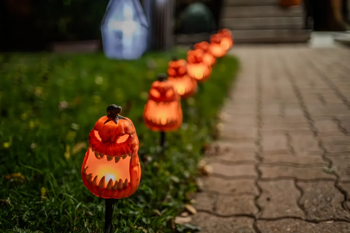 Row of about eight orange pumpkin stake lights with glowing yellow mouths along a grass edge beside a paved path