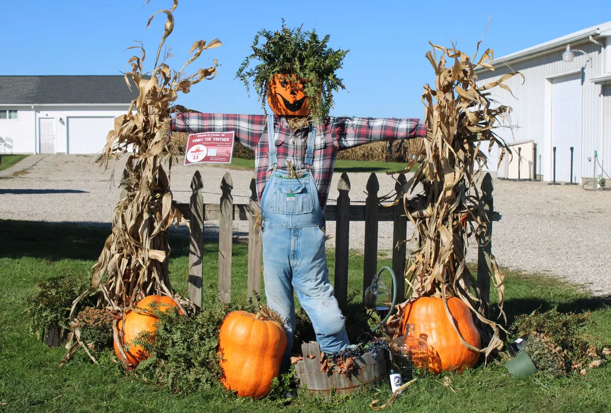Pumpkin-headed scarecrow in plaid shirt and blue overalls beside cornstalk bundles, three pumpkins and a dark picket fence