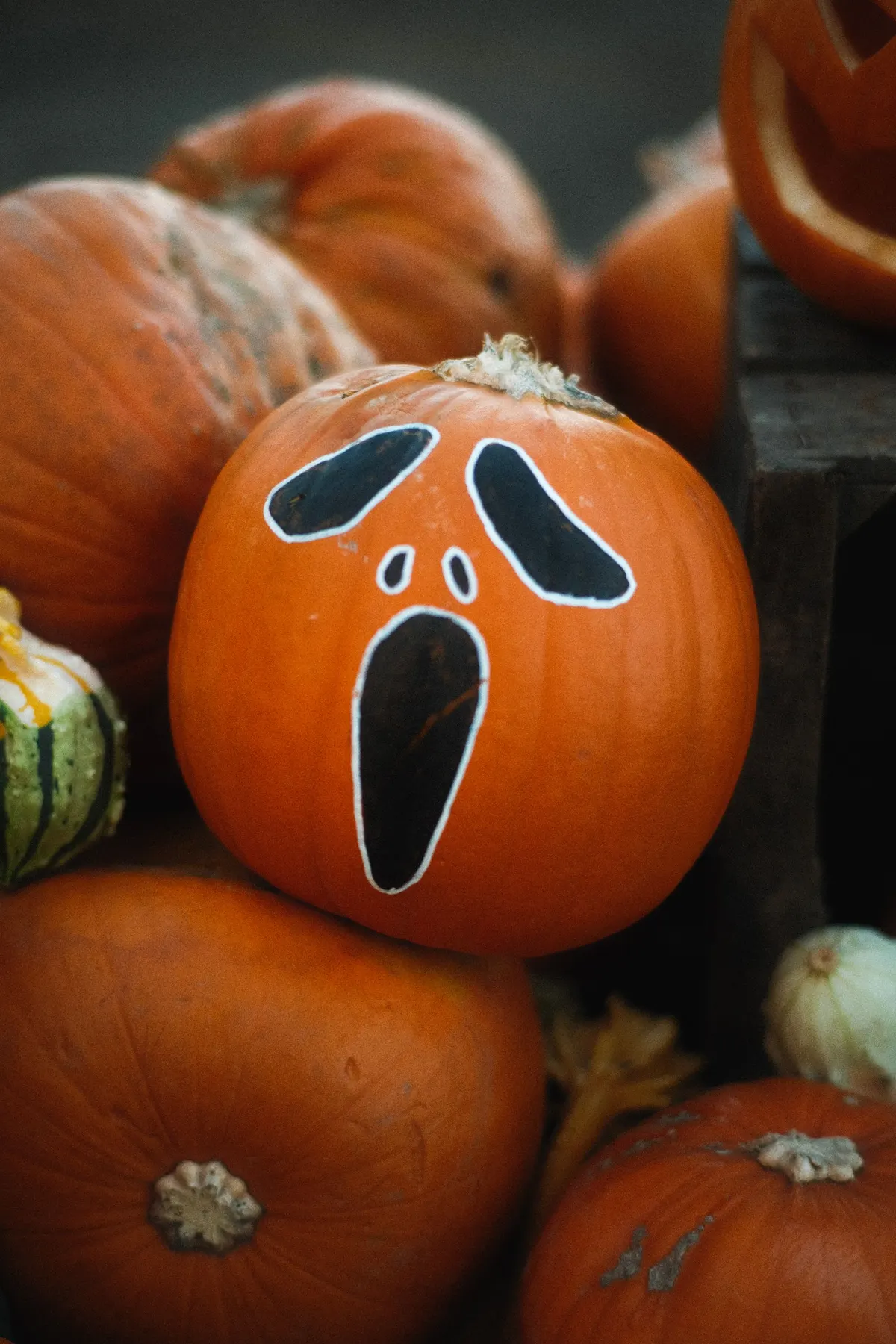 Orange pumpkin painted with a screaming face of two tall black eyes, two nostrils and a long open mouth