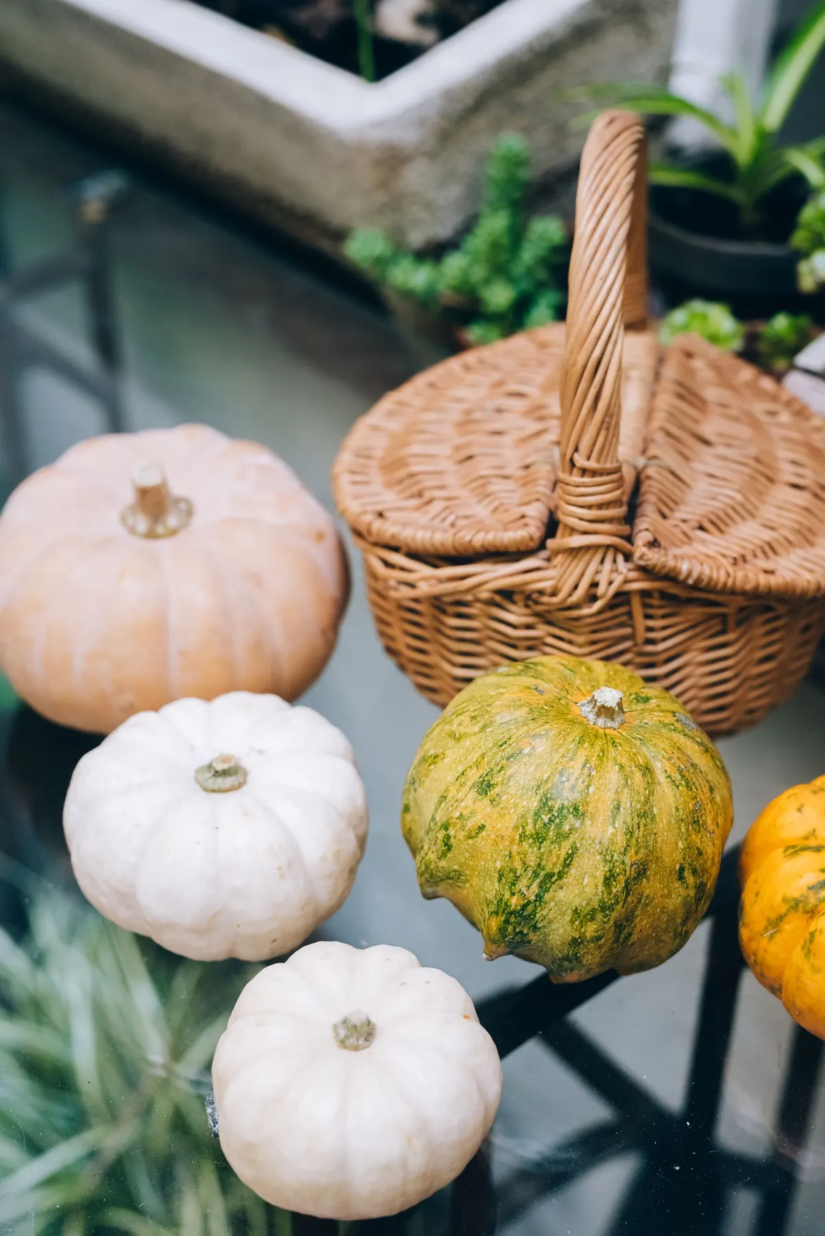 Two white pumpkins, a peach one and a yellow-green one beside a lidded wicker basket on a glass tabletop