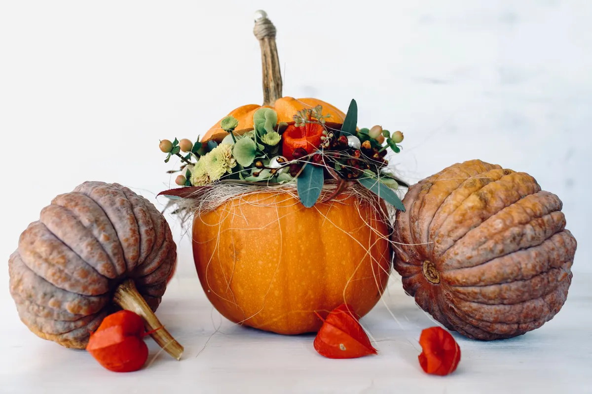 Small orange pumpkin hollowed out as a vase for green mums, berries and eucalyptus, with two grey pumpkins beside it