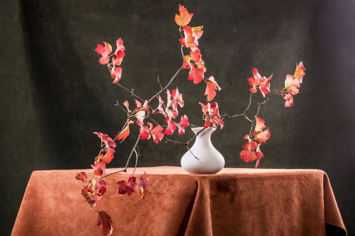 Bare branches with red and coral autumn leaves in a small white vase on a rust-brown tablecloth