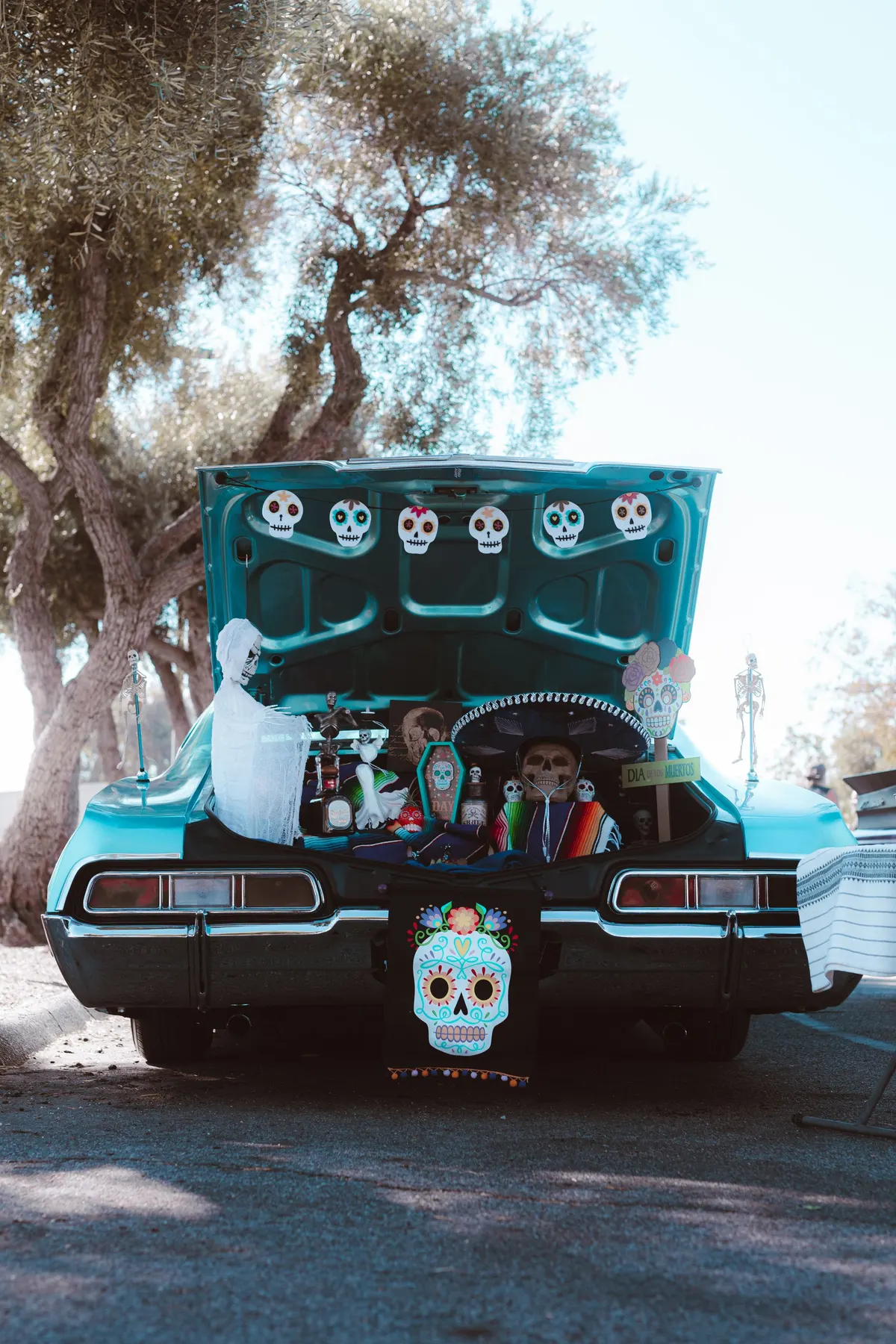 Open trunk of a teal vintage car lined with white sugar skulls, with a sombrero-wearing skull and a coffin