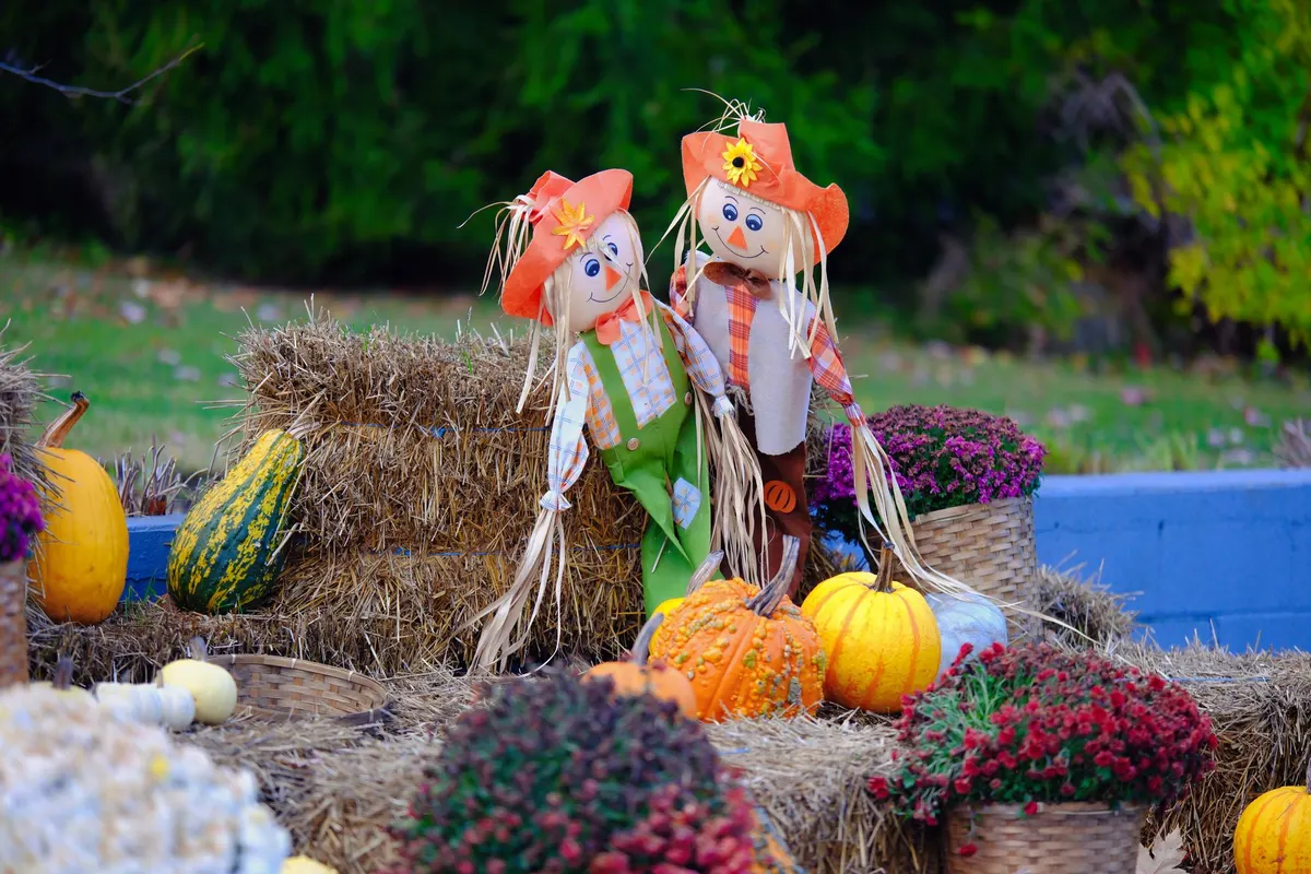 Two scarecrows in orange hats with yellow flowers, plaid shirts and orange neckerchiefs among hay bales, pumpkins
