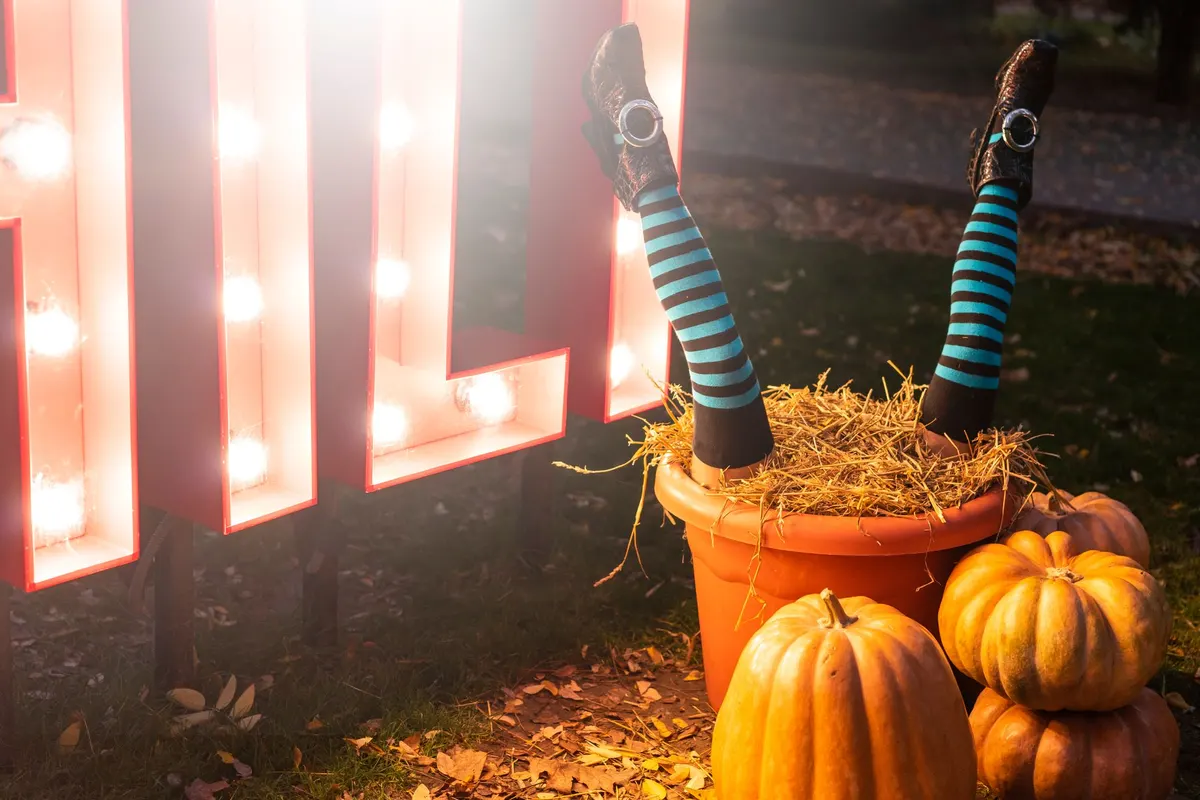 Witch legs in black and turquoise striped stockings and buckled black shoes sticking out of an orange tub of straw
