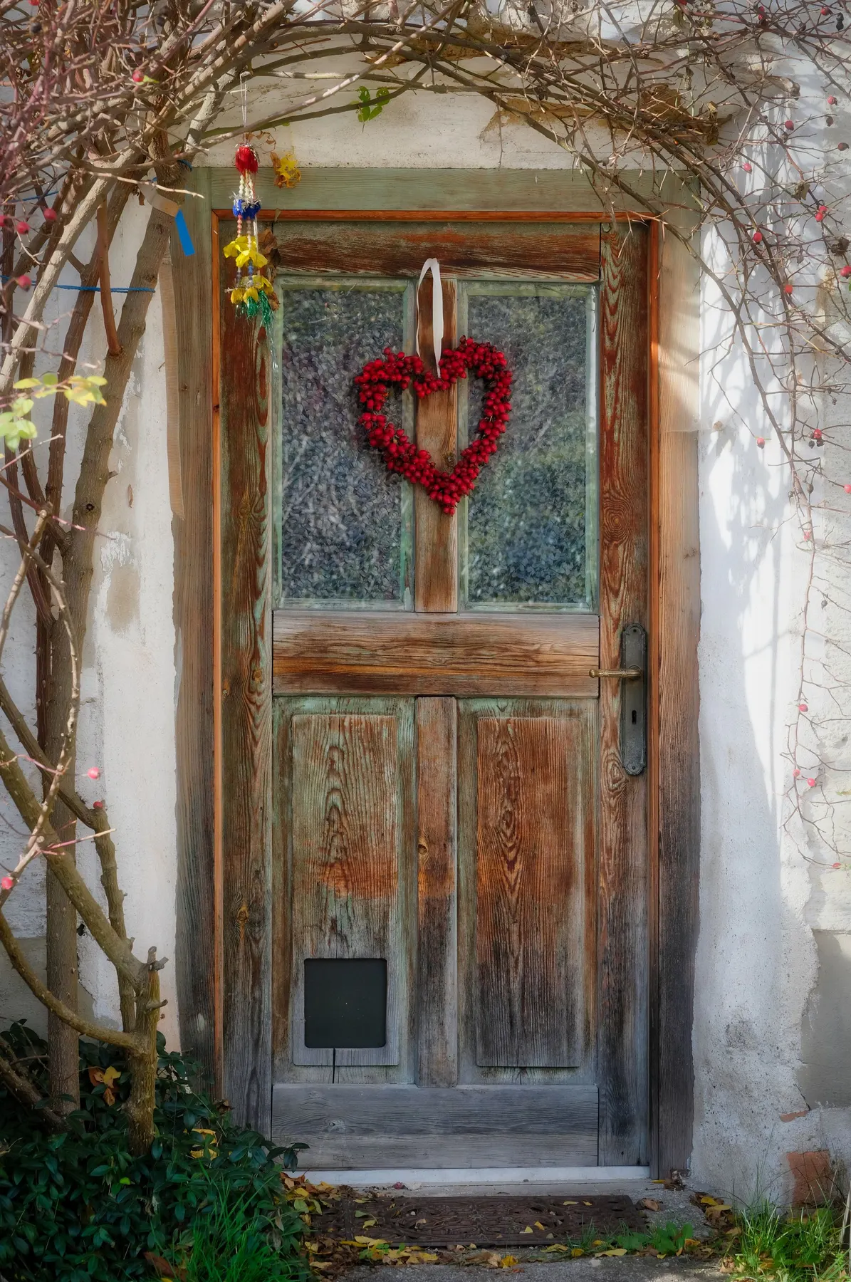 Weathered wooden door with a red berry heart wreath hung from a pale ribbon, framed by bare branches